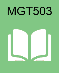 VU MGT503 Online Quizzes