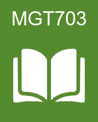 VU MGT703 - Strategic Management online video lectures