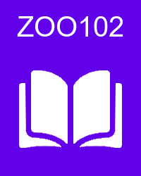 VU ZOO102 Lectures