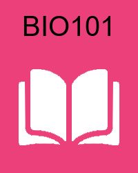 vu bio101  - Basic I-Biology Solved Past Papers