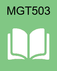 vu mgt503  Solved Past Papers